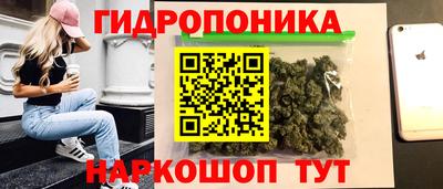 сатива Краснознаменск